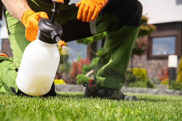 Professional Pest Control in Auburn, WA